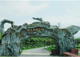 湘豐茶業(yè)獲評湖南農(nóng)業(yè)優(yōu)勢特色產(chǎn)業(yè)30強(qiáng)企業(yè)