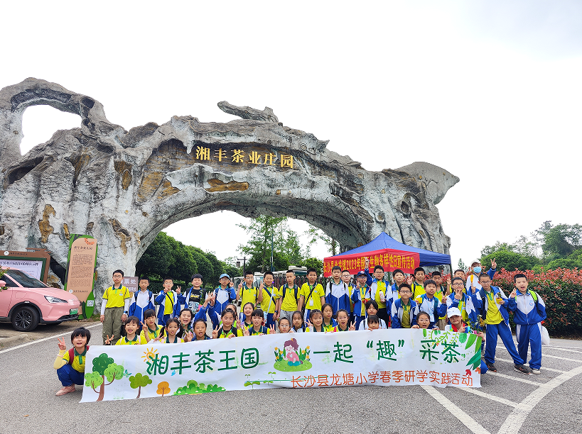“湘豐茶業莊園游客持續暴漲”第九屆茶文化旅游節后迎來第一波高峰！