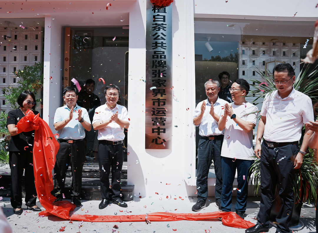 喜報！張家界白莓旗艦店盛裝開業(yè)暨桑植白茶公共品牌張家界市運(yùn)營中心隆重揭牌！
