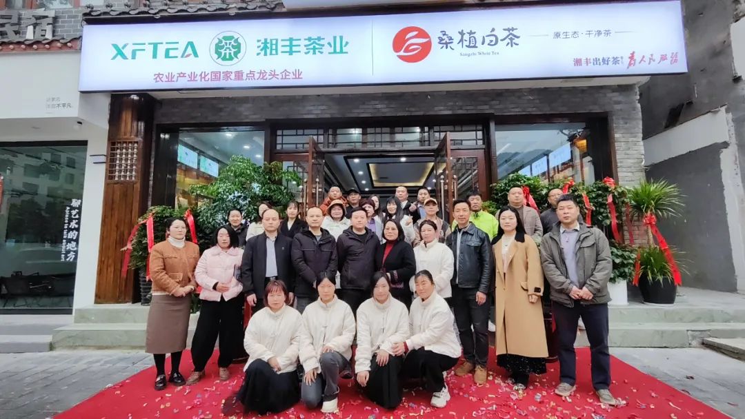 湘豐茶業·桑植白茶張家界武陵源旗艦店盛大開業！