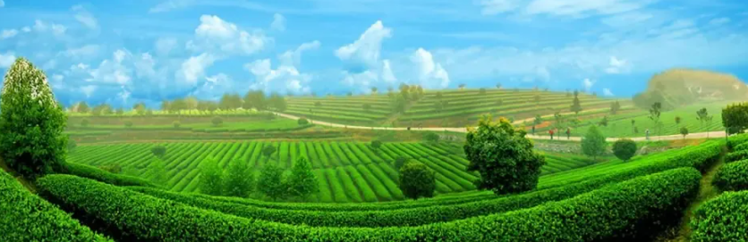 ScreenShot_2025-11-28_151339_224.png ScreenShot_2025-11-28_151339_224.png